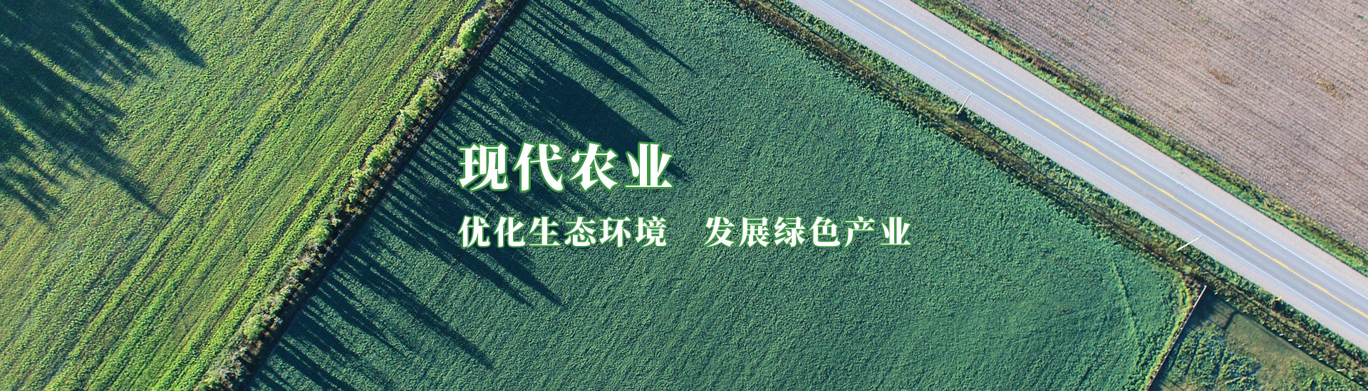 必赢亚洲·bwin(中国区)官方网站