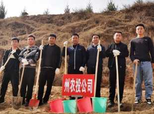 必赢亚洲加入2021年春季义务植树活动